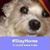 JoAnn Fowler's profile image