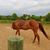 Debbie Caldwell's profile image