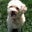 Alice Louie's profile image