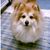 Sandy Carter's profile image
