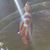Lisa Dusek Bir's profile image