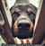 Roberta Wicklund Lewis's profile image