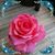 Deana Torres's profile image