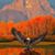 John Lafave's profile image