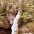 Julie Bartlein Alexander's profile image