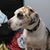 Carol Armistead Hough's profile image