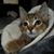 Gail DeVore's profile image
