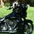 Victor Purunjian's profile image