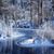 Debbie Stevenson Taylor's profile image