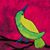 Barbara Lacy's profile image