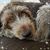 Rose Guglielmi Rajczak's profile image