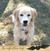 Patti Curtiss's profile image
