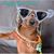 Teresa O'Neil Steding's profile image