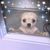 Allison Herrold's profile image