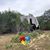 Laura Davis's profile image