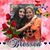 Cindy Serratos's profile image
