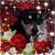 Estela Fraire's profile image