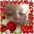Melissa Fabbri Bonner's profile image
