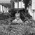 Lisa Lynne James's profile image
