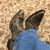 Julie Wetnight Codding's profile image
