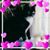 Nancy Sabaj's profile image