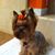 Sandi Douglas's profile image