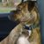Peggy Rozek's profile image