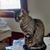 Deloris Pohl's profile image