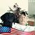 WJ Bivins's profile image