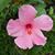 Tawny Leonard's profile image