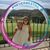 Laura Duggan's profile image