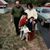 Carolee Binette's profile image