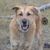 Jason C. Smith's profile image