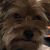 Julie Belford Bobroski's profile image