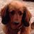 Debby Minor's profile image