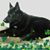 Christine Betters Wynn's profile image