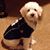 Allyson Wise's profile image
