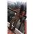 Sheila Torres's profile image