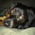 Sharon Anne's profile image