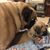 Elesha Shaver Granniss's profile image