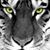Sab Almutahar's profile image