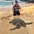 Turtle Chairez's profile image