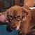 Marcia Abrams Tremblay's profile image