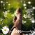 Tammy Todd-Izor's profile image