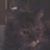 Pattie Vogt's profile image