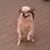 Jason Zevin's profile image