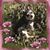 Carrie Ann Saigeon-Crunk's profile image