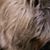 Barbara Orton's profile image