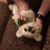 Melissa Dunn Miracle's profile image