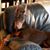 Stephanie Rudich's profile image